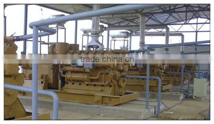 For export CE standard 10 - 600 kw biogas power plant for cng and lpg