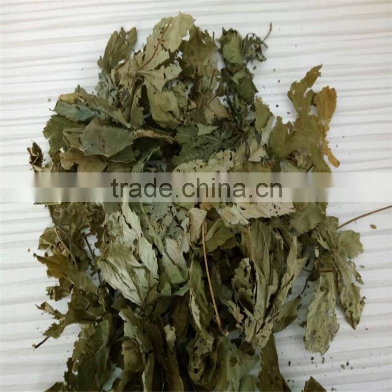 Health Tea Sweet Tea Extract Rubusoside Sweet Tea Leaf