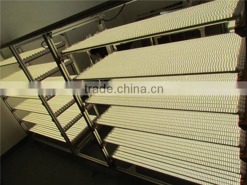 new product 2400mm led t8 tube energy-saving lamp