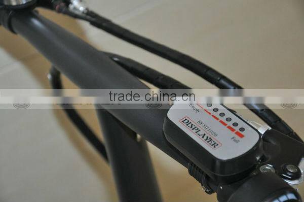 Cheap 250W Foldable Electric Bicycle with EN15194, EN14764 (EF03)