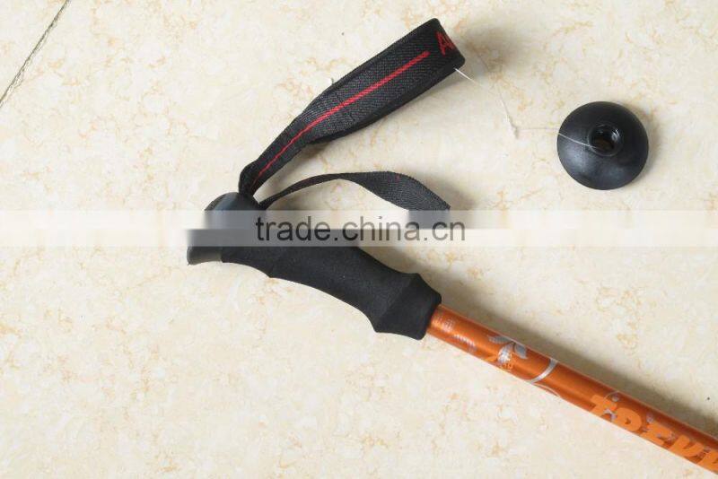 3 Section Hiking Pole