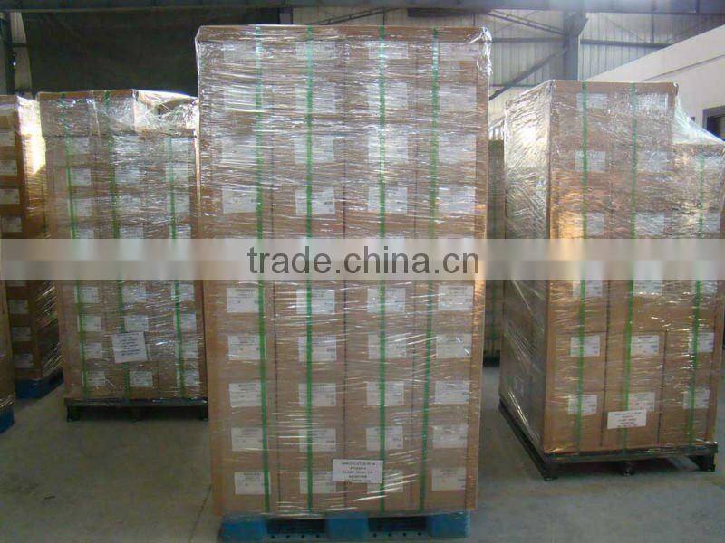 American type hose clamps Fitting Swimming pool