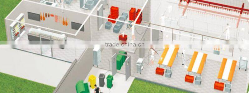 Multi-pump high pressure washer, washing system