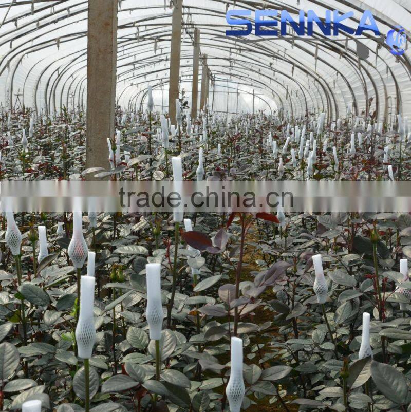 Quality fresh cut flower in China /design roses/jasmine/decorative natural flowers