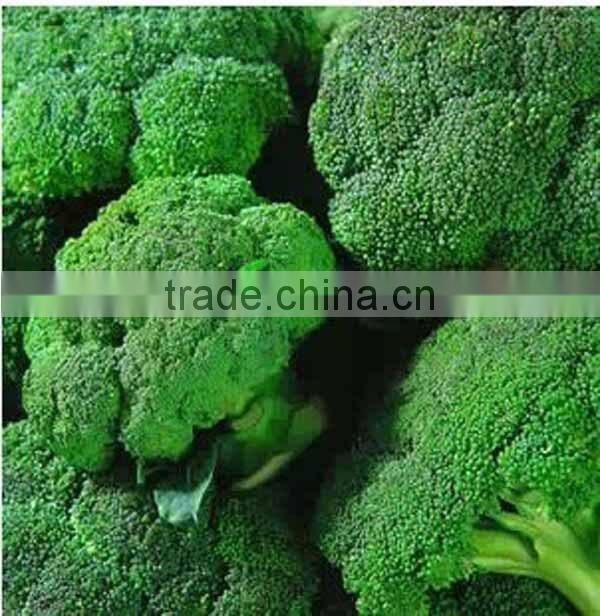 NBR011 Wanliu best high yield brocolli seeds china