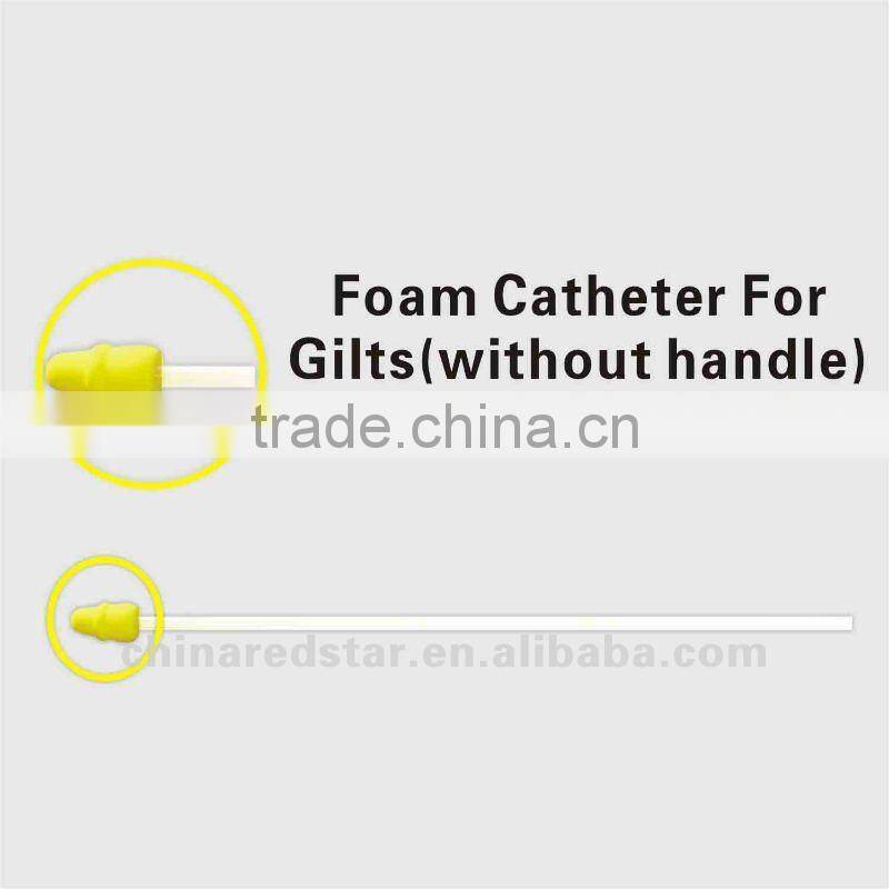 Foam Catheter For Gilt (without handle)