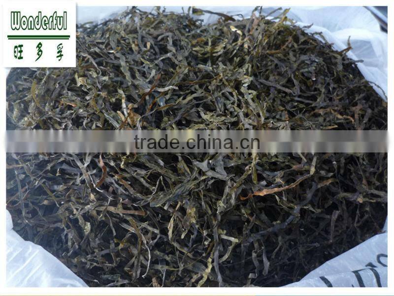 Seaweed drying machine,artificial seaweed,dried kelp laminaria,dried sea kelp