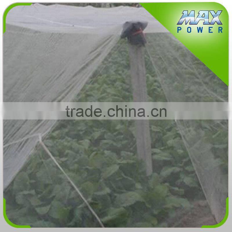 Insect Net applied to Agricultural greenhouse