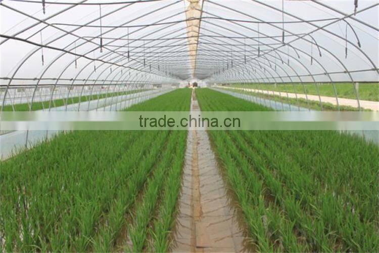 Cheap Price Polyethylene Film Covered Tunnel Greenhouse For Sale