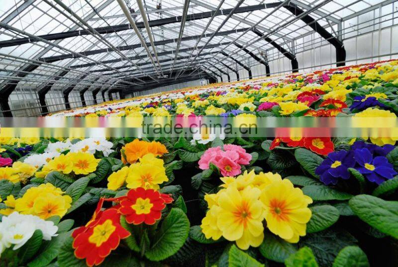 Ecological Glass greenhouse garden shed