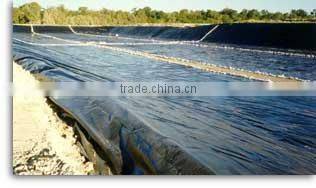 LDPE building film