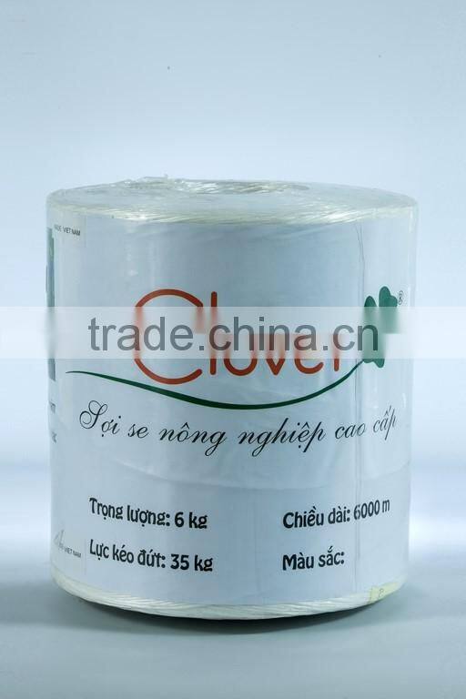 Tomato twine for Florida Weave cultivation