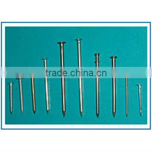 Factory Supply Common Wire Nails/Wood Nails Galvanize nails