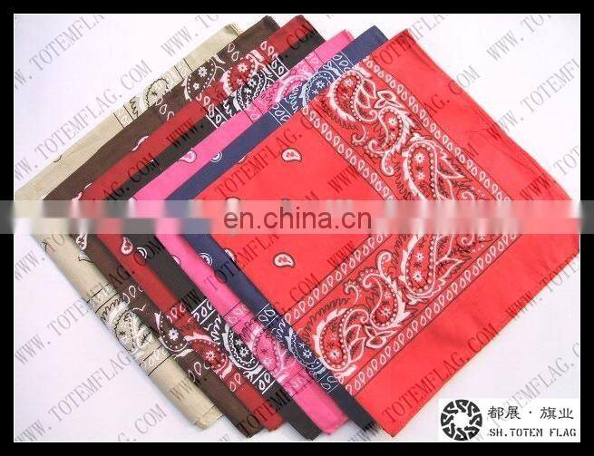 Black Head Bandana Skull