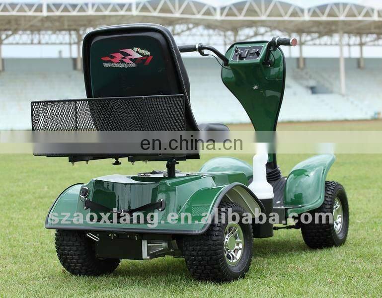 Hot selling 2 seater Small golf buggy