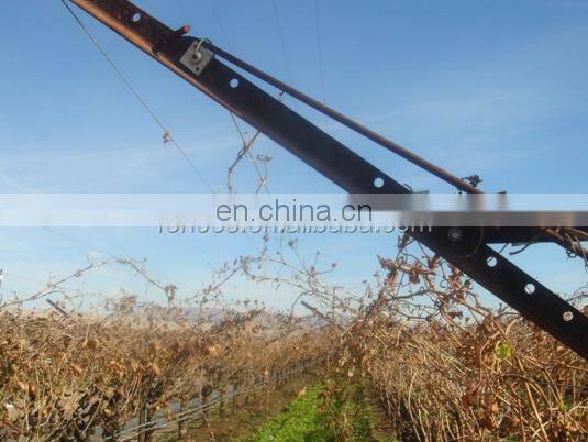 Chile Market Vine Open Gable Trellis Post