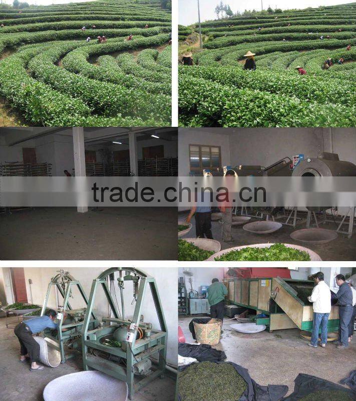 CHINA GREEN TEA 4011/EXTRA FINE CHUNMEE TEA 4011