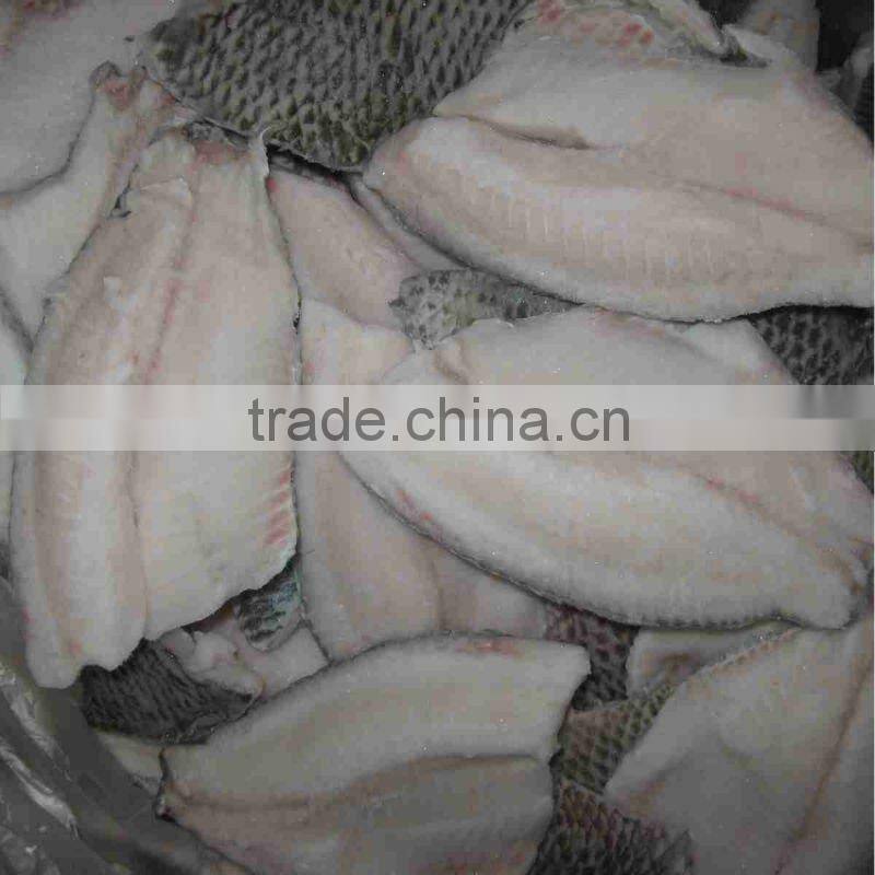 Frozen tilapia farm fish fillet