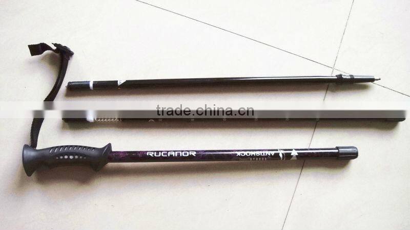 trekking pole
