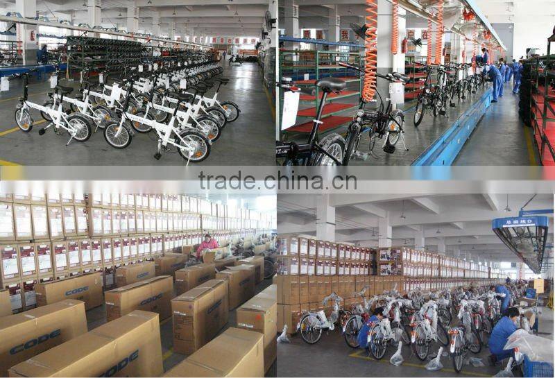 36V 250W 20inch rear brushless motor kit mini new cheap foldable e-bike XY-EB003F