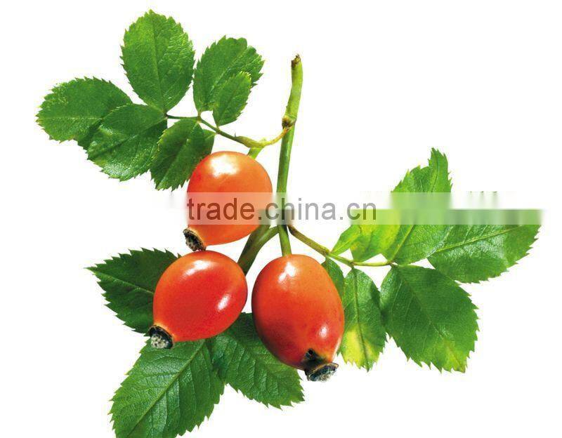 100 pure natural ROSE HIP SEED oil,rosehip oil