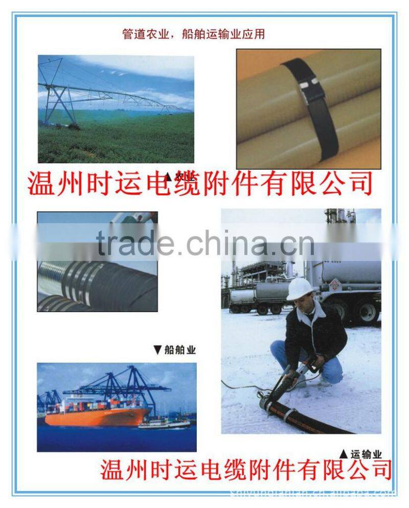 ISO9001 Hot Sale Superior Ball Lock Type stainless steel epoxy coated cable ties
