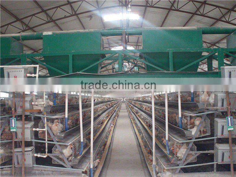 poultry farming commercial chicken coops