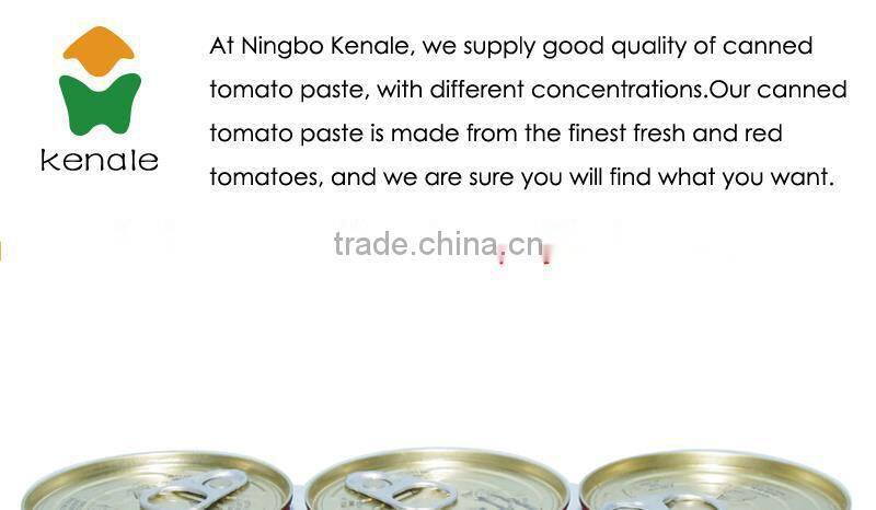 Competitive price tomato paste price ton repacking in 210gx48tins