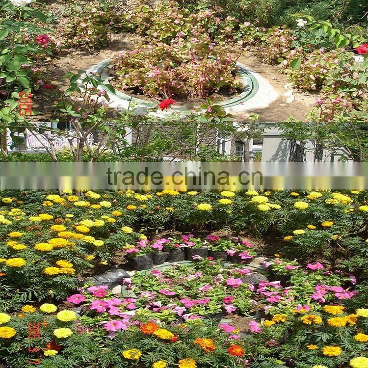 2016 Newest Design Top Quality fashion A15 1.5Ton Fiberglass Flower Pots fiberglass manhole cover