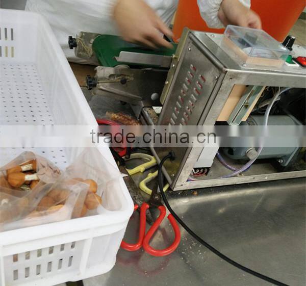 rawhide sticks dog chew/rawhide with chicken dog treats food