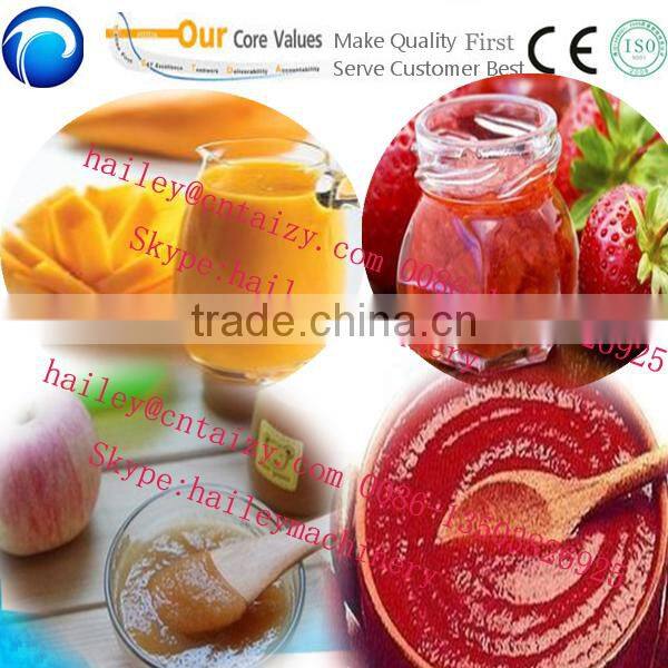 stainless steel and made in china Orange Peach Strawberry pulping machine