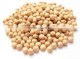 Soyabean Seeds (Whole & Oil)