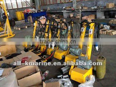 Electric Deck Scaler