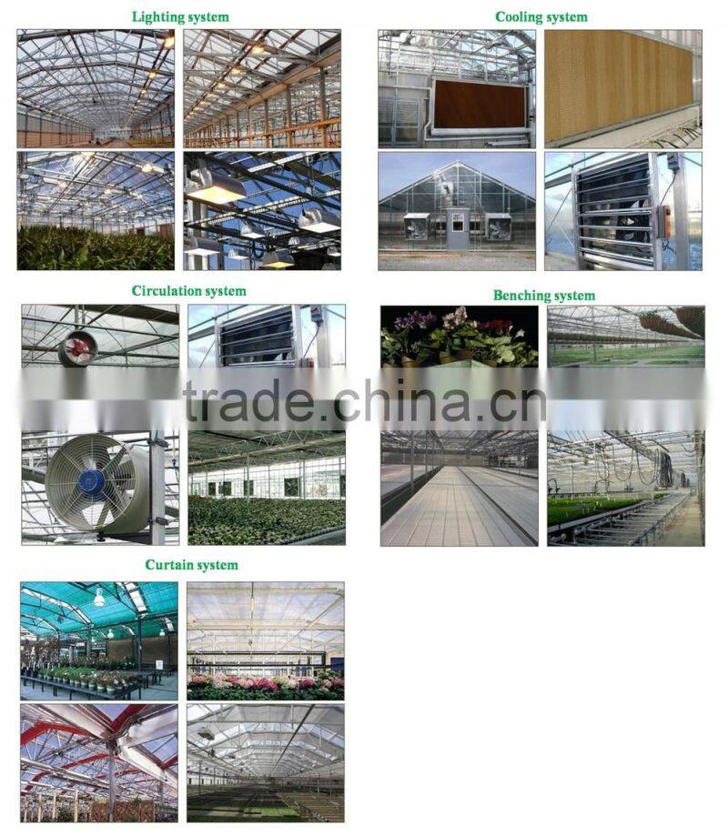 RoughBrothers Coldframe Series Galvanized Steel Frame Vegetable Tunnel Plastic Greenhouse