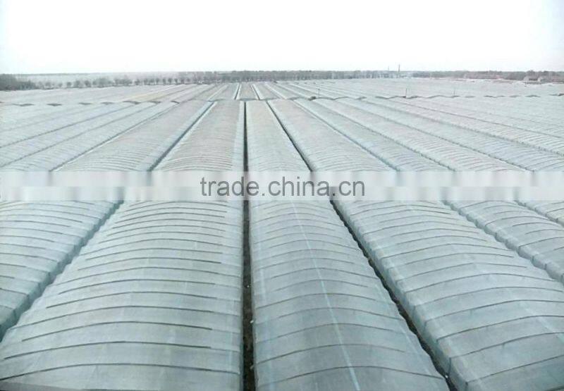 Multi span PE Cover Film PE greemhouse film for vegetable greenhouse