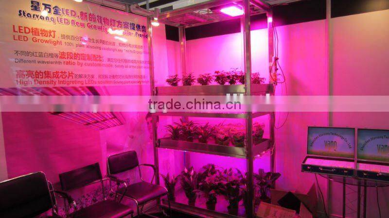Led 300 watt for green house ,300w integrated led grow light for indoor gardern plant