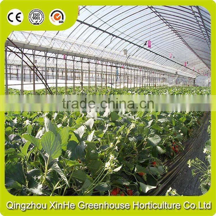 Selling Used Light DeprivationPlastic Greenhouse
