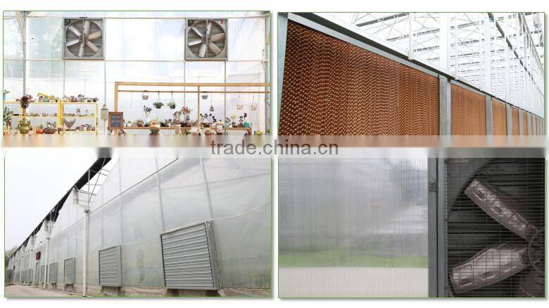 Hot sale 220V Industrial Exhaust Cooling Fan for greenhouse ventilation