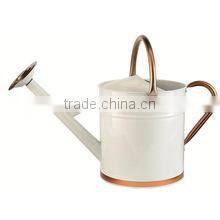 Eco-friendly Enamel water can/ garden deco Zinc Flower Planter Pot & Watering can