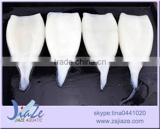 squid tube giant squid