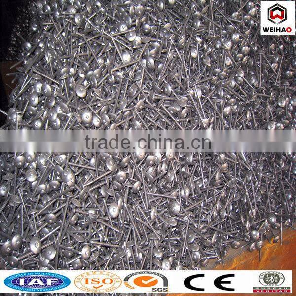 2 inch umbrella head roofing nail