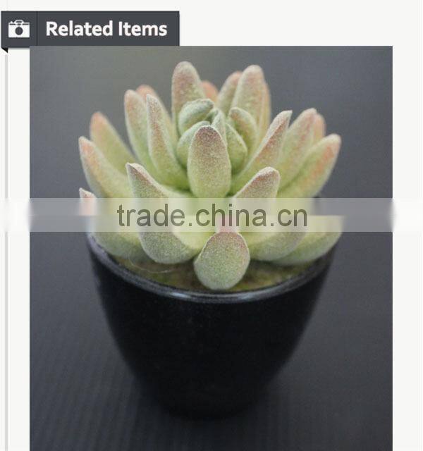 Hot sale artificial potted plants chinese succulent plants