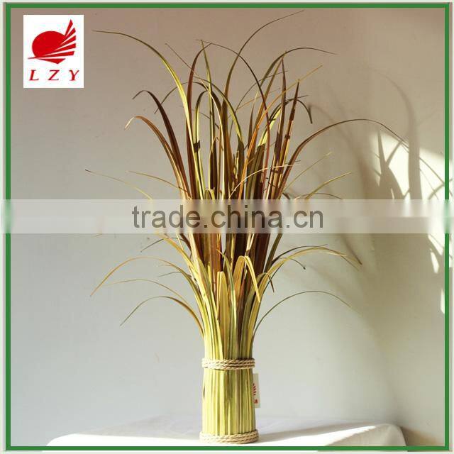 New Arrival Home Decoration Onion Grass