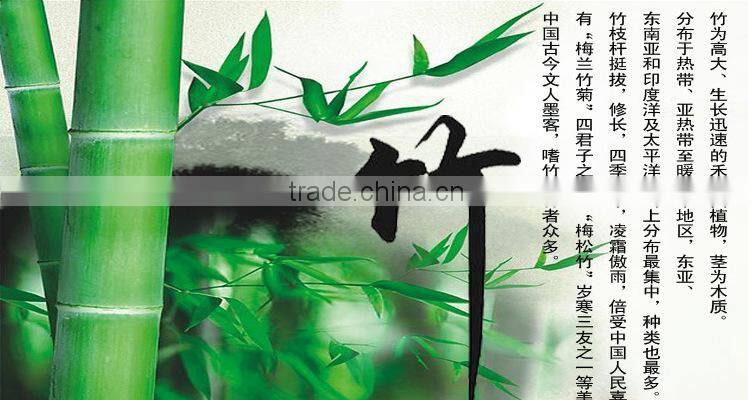 Bulk Packing Disposable Bamboo Chopsticks