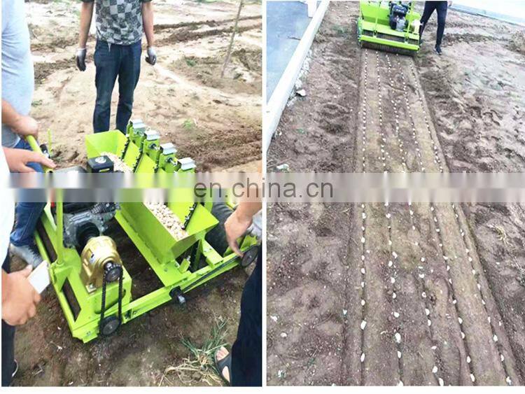 Automatic Type 5 Rows Garlic Seed Planter Garlic Seeder Machine