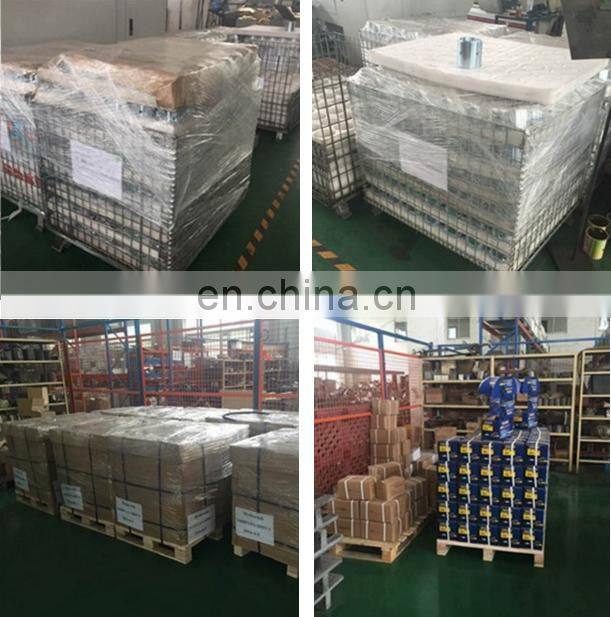 Permanent magnetic 24 V 0.8KW 3200RPM dc motor