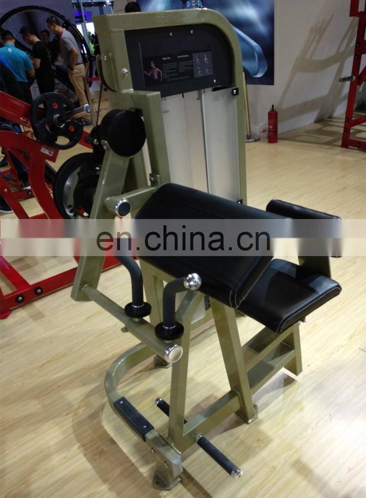 High Quality Commercial Cybex Biceps Triceps Curl Fitness Gym Machine