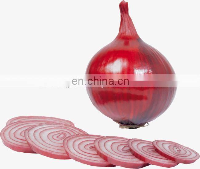 Home Manual Vegetable Cabbage Onion Cutter Slicer