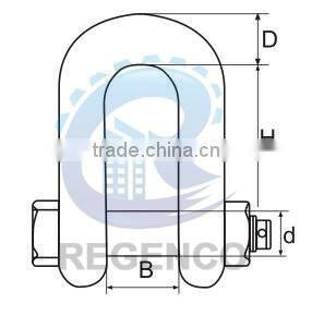 Grade S Dee Shackle with Safety Pins AS2741