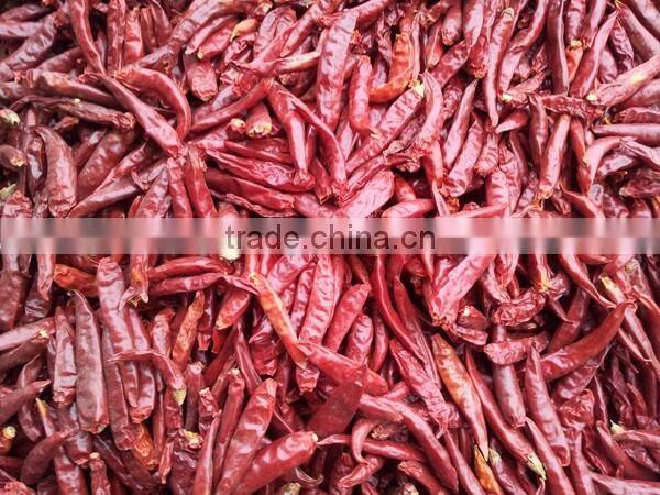 indian dry red chilli
